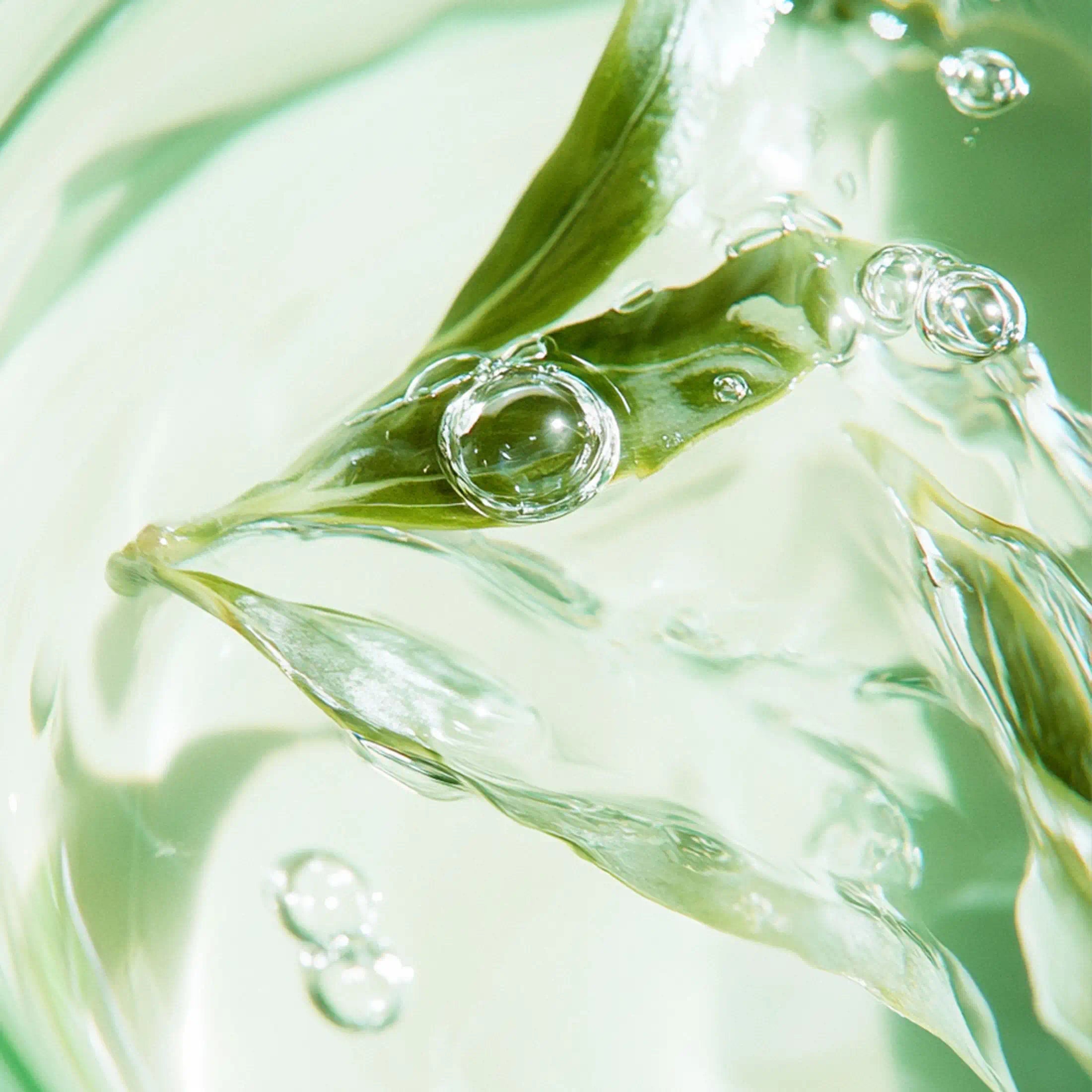 discover the magic of green tea scent