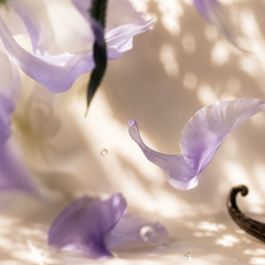 Velvet Mist - Set of 2